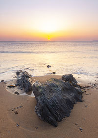 Driftwood on beach against sky during sunset