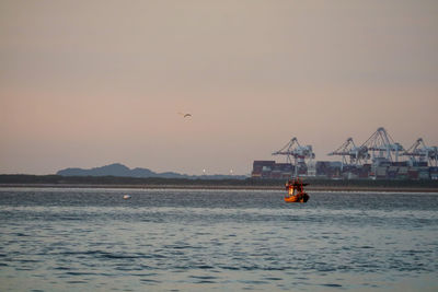 View of bird flying over sea