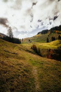 Scenic view of field against sky