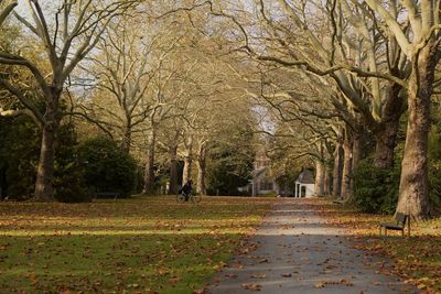 Footpath amidst trees in park during autumn