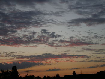 Silhouette of trees against dramatic sky