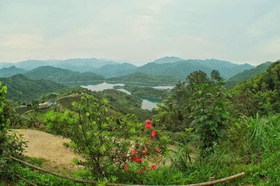 Scenic view of tree mountains against sky