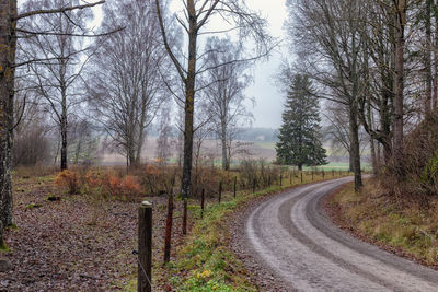 Road amidst trees in forest against sky