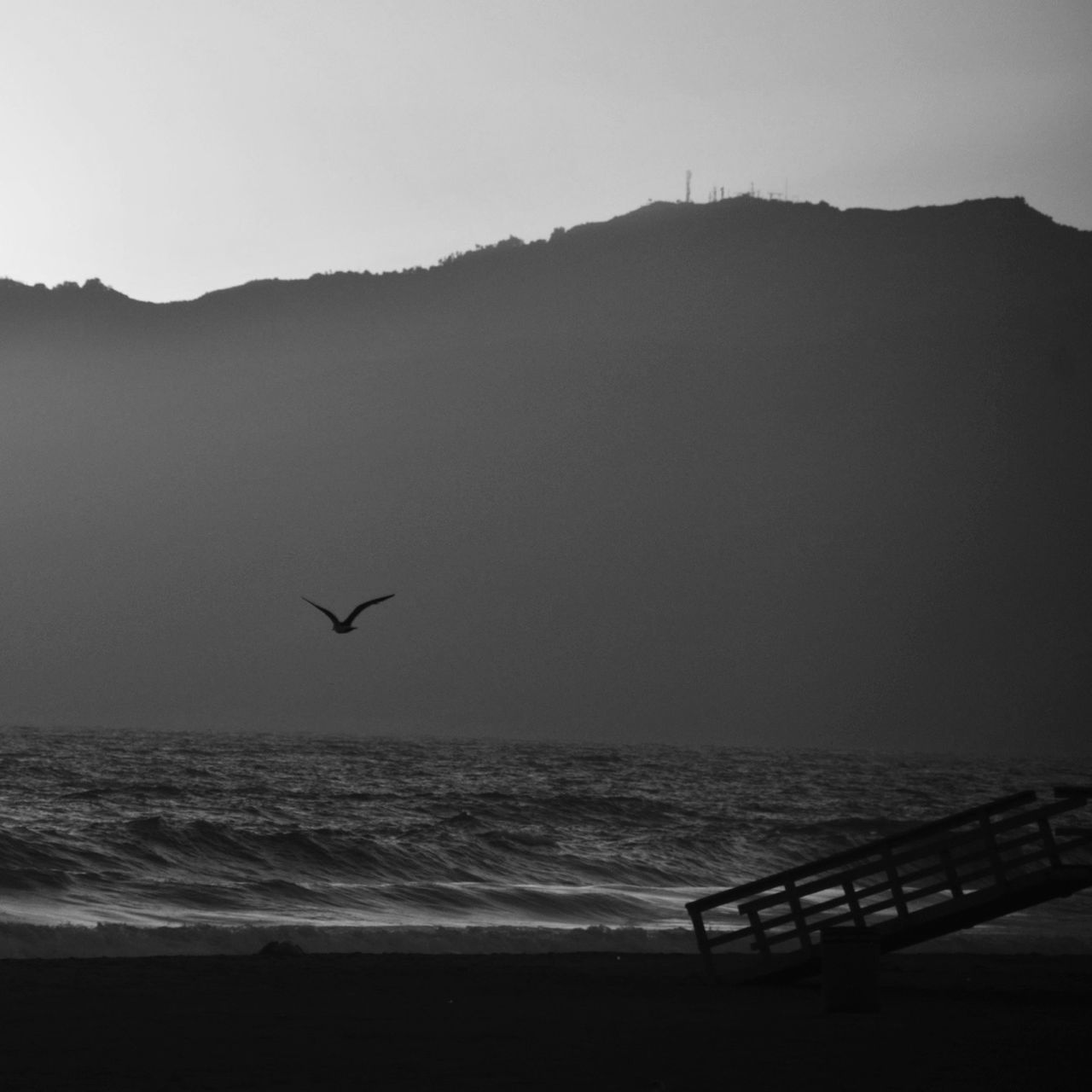 flying, bird, sea, clear sky, water, animal themes, scenics, animals in the wild, silhouette, tranquil scene, beauty in nature, tranquility, wildlife, copy space, nature, mid-air, horizon over water, one animal, mountain, sky