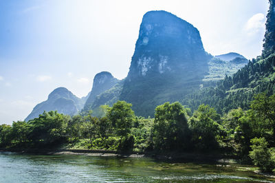 Scenic view of river amidst trees against sky