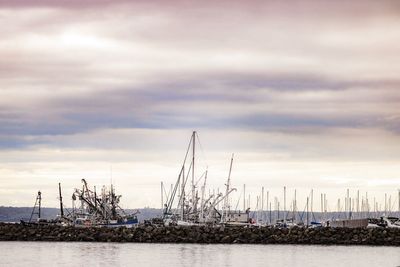 Sailboats moored in harbor