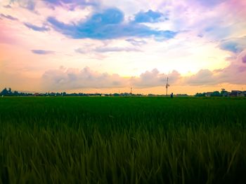 Scenic view of agricultural field against sky during sunset