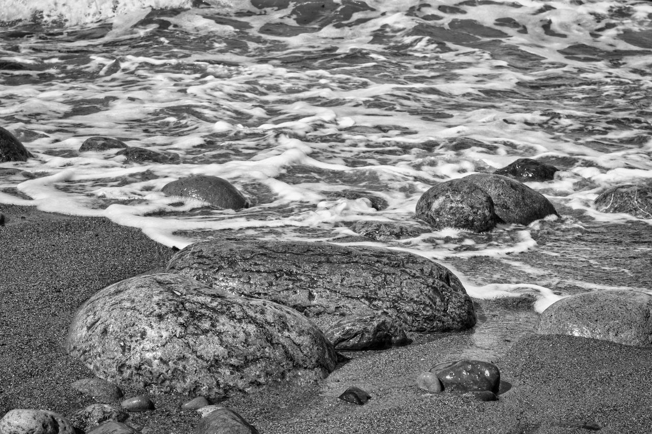 HIGH ANGLE VIEW OF ANIMAL ON BEACH