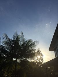 Low angle view of silhouette trees against sky