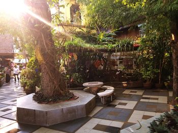 View of potted plants in park