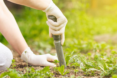 Low section of woman holding plant