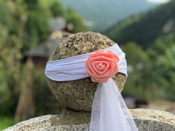 Close-up of rose bouquet on rock