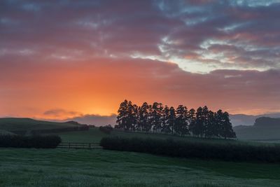 Scenic view of field against sky during sunset
