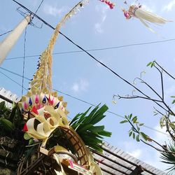 Low angle view of flowers against sky
