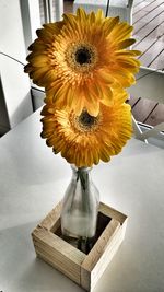 Close-up of sunflower in vase on table