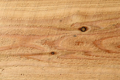 Detailed close up view on different wood surfaces showing planks logs and wooden walls