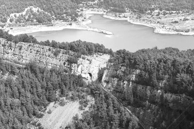 High angle view of trees on landscape