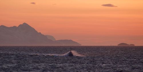 Scenic view of sea against orange sky