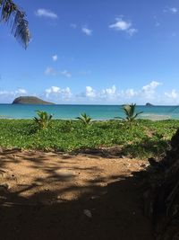 Scenic view of sea against clear sky