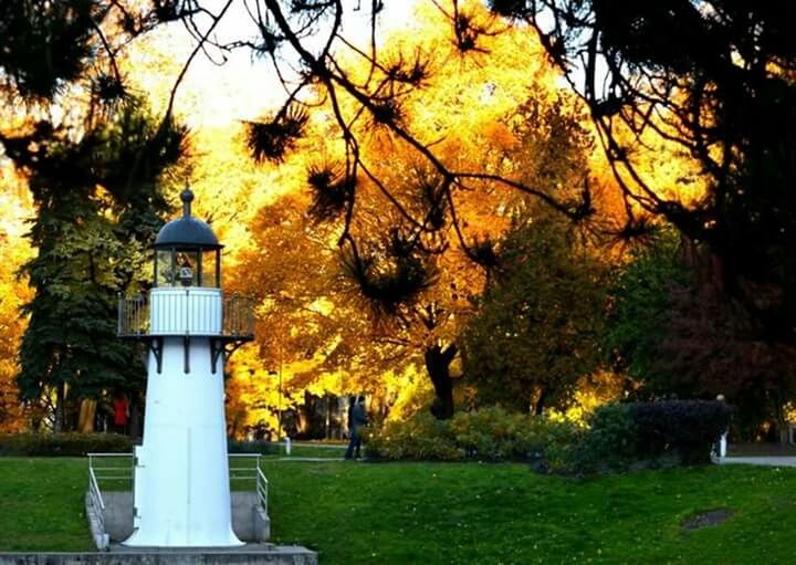 tree, building exterior, grass, architecture, built structure, branch, park - man made space, autumn, lawn, growth, change, yellow, nature, sky, season, orange color, tree trunk, field, beauty in nature, outdoors