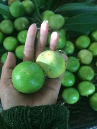 Close-up of hand holding apples
