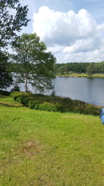 Scenic view of grassy field by lake against sky