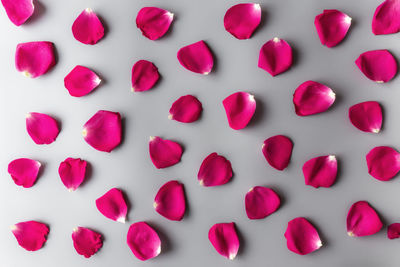 Full frame shot of pink cake