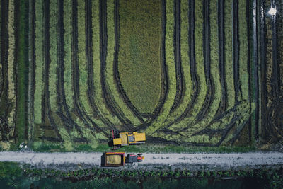 Scenic view of agricultural field