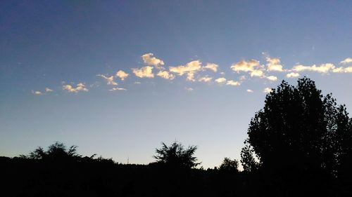 Low angle view of silhouette trees against sky during sunset