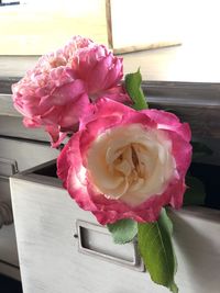 Close-up of pink rose flower vase on table