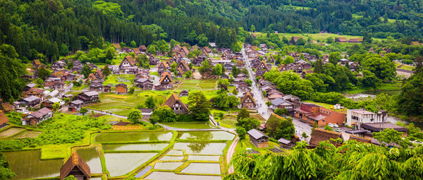 High angle view of trees and buildings in city