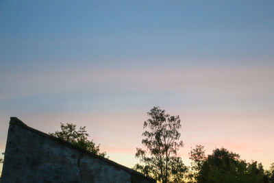 Low angle view of trees against sky