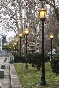 Illuminated street light in park