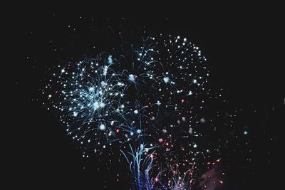 Firework display at night