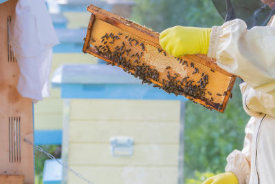 Low angle view of woman working