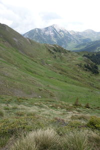 Scenic view of green landscape and mountains against sky