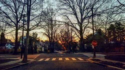 Road amidst bare trees against sky in city