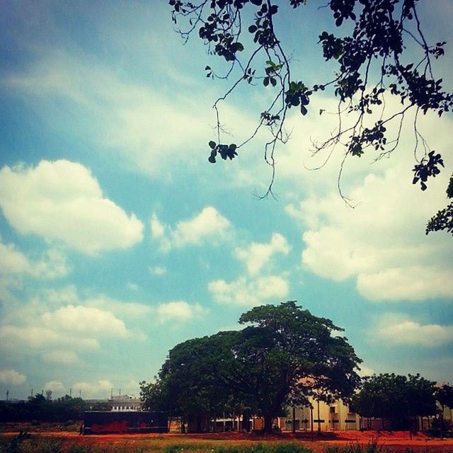 tree, sky, cloud - sky, cloudy, architecture, built structure, cloud, building exterior, low angle view, park - man made space, growth, nature, branch, day, outdoors, incidental people, transportation, bare tree, beauty in nature, tranquility