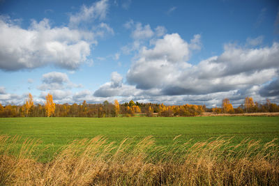 Scenic view of grassy field against cloudy sky