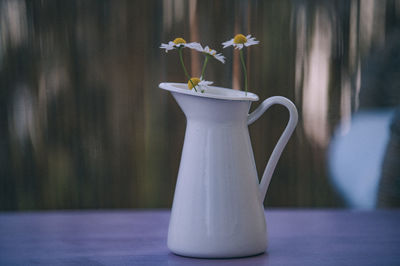 Close-up of white flower vase on table