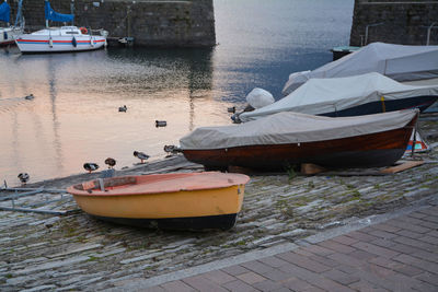 Boats moored at harbor