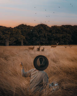 Rear view of woman sitting near deer on field at sunset