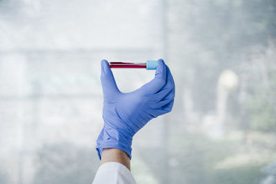 Female doctor holding blood sample in front of glass