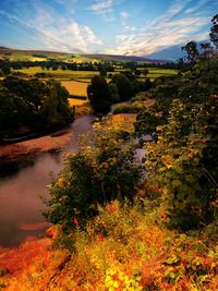 Scenic view of landscape against sky