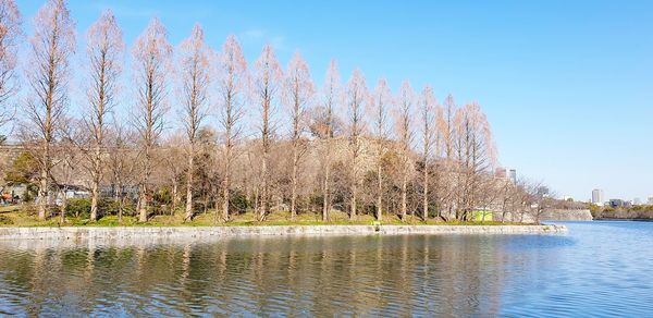 Scenic view of lake against clear sky