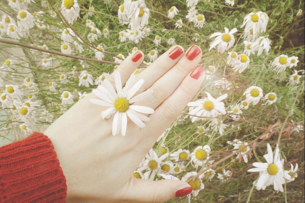 flower, petal, fragility, freshness, flower head, daisy, white color, person, beauty in nature, pollen, growth, part of, nature, high angle view, close-up, blooming, yellow