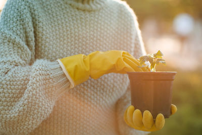 Woman holding green tomato sprout in hand in black flower pot wear yellow rubber gloves over nature