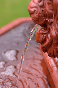 Close-up of red sculpture