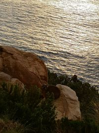 High angle view of rocks on beach