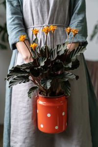 Midsection of woman holding potted plant